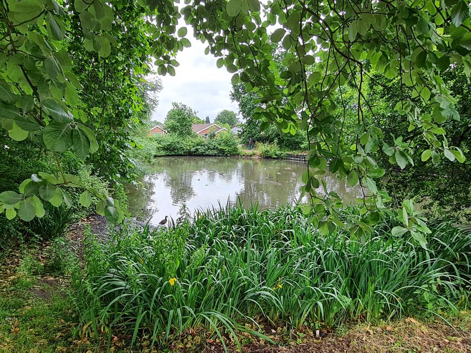 2022-06-30 09 Wensum at Lingwood.jpg
