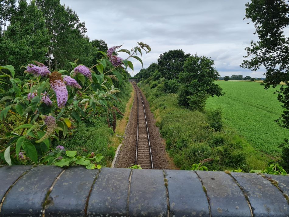 2022-06-30 12 Wensum at Lingwood.jpg