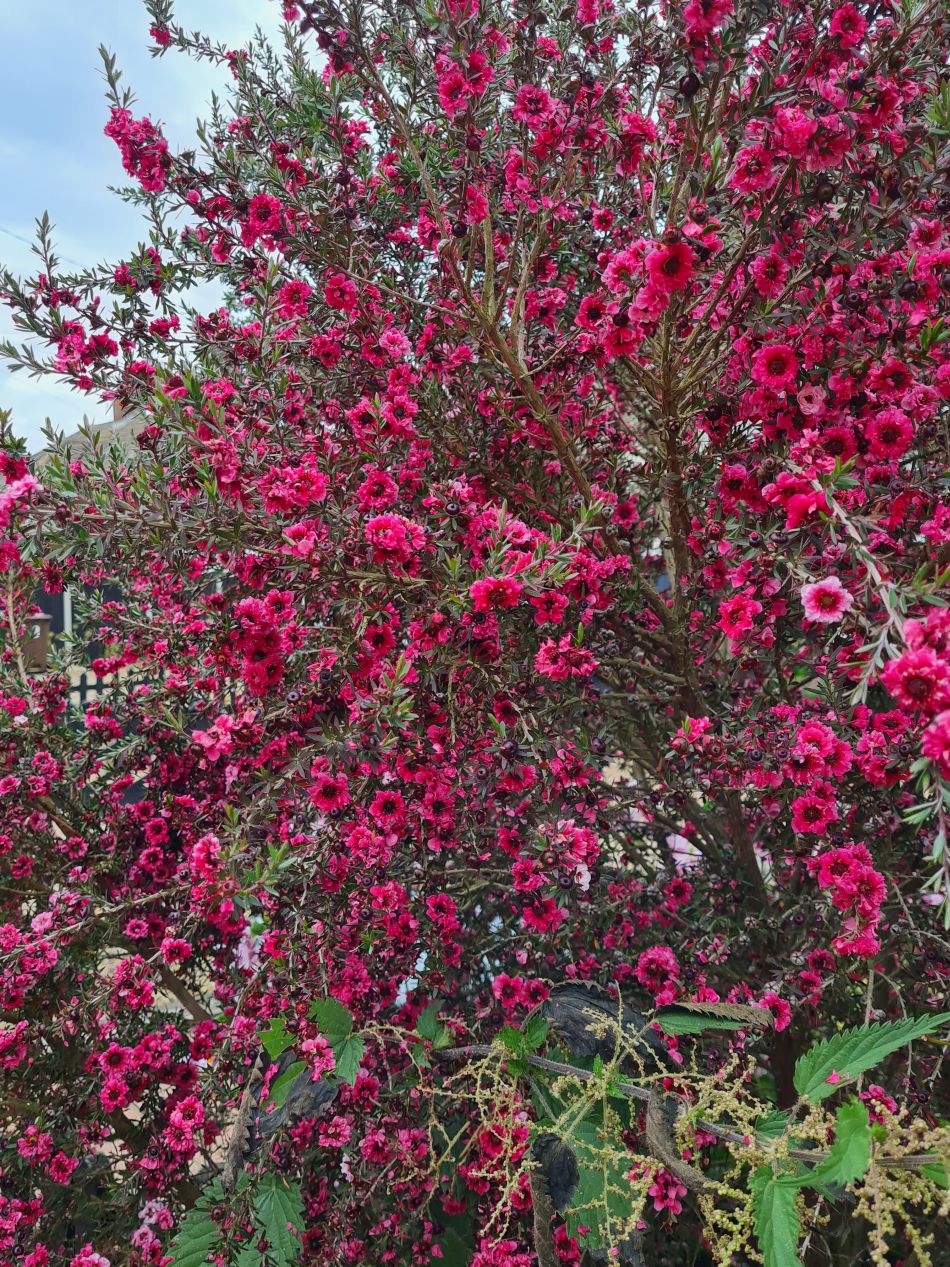 2022-06-30 20 Wensum at Lingwood.jpg