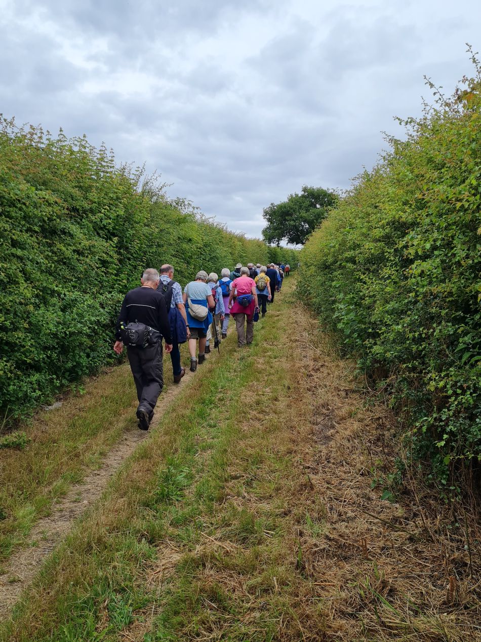2022-06-30 30 Wensum at Lingwood.jpg