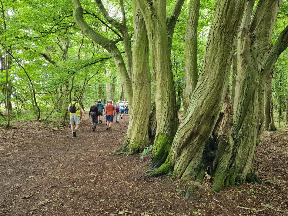 2022-06-30 32 Wensum at Lingwood.jpg