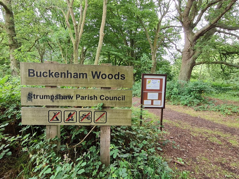 2022-06-30 34 Wensum at Lingwood.jpg