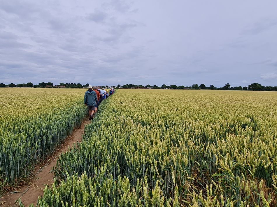 2022-06-30 36 Wensum at Lingwood.jpg