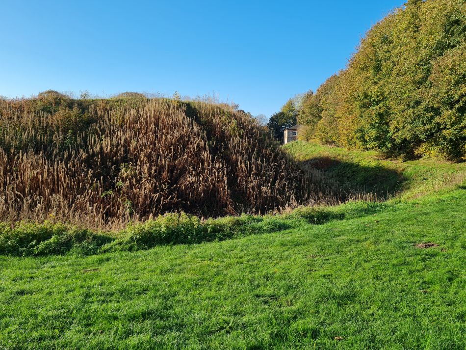 2022-11-14 06 Castle Acre.jpg