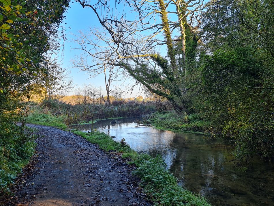 2022-11-14 14 Castle Acre.jpg