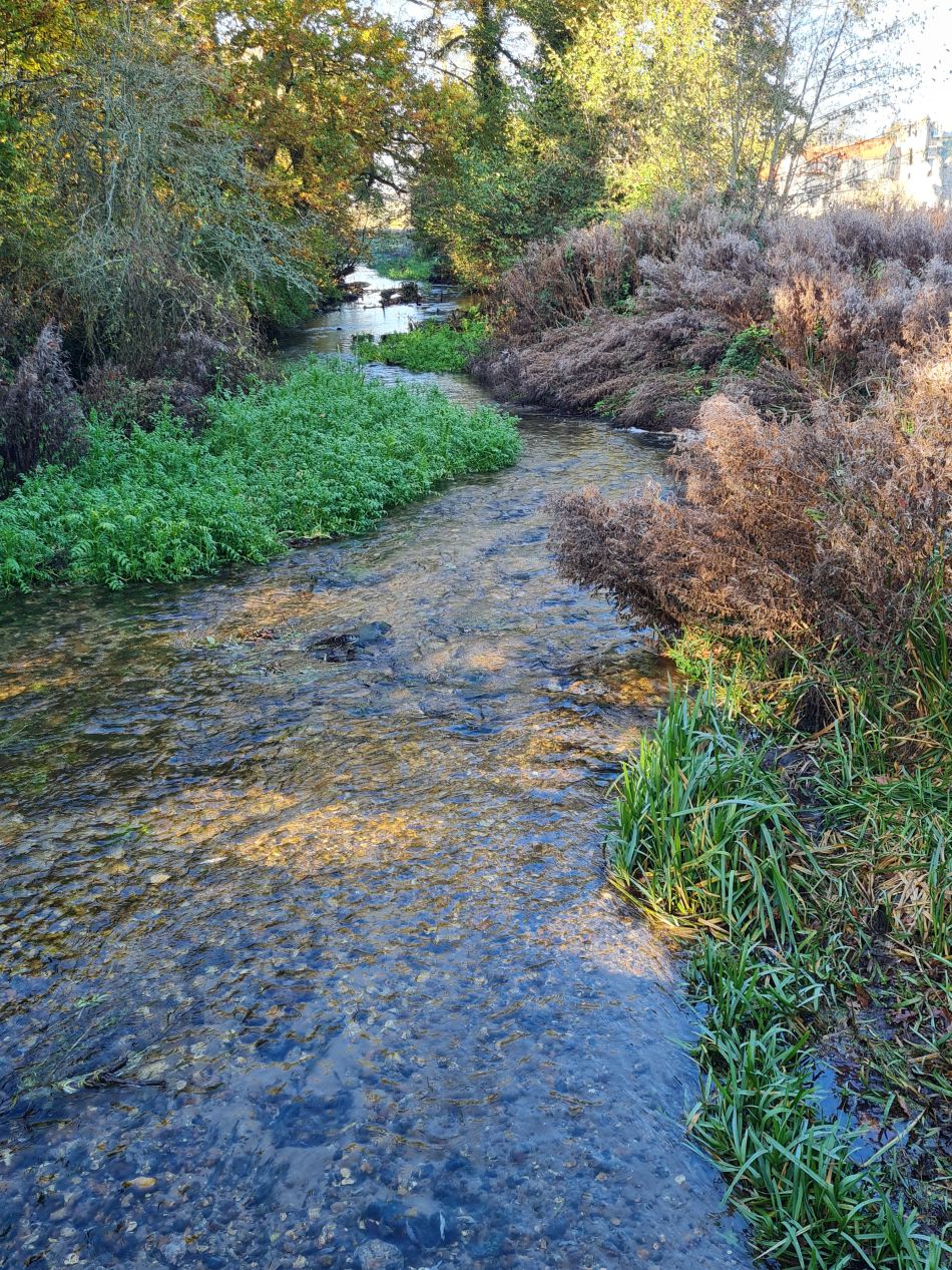 2022-11-14 16 Castle Acre.jpg