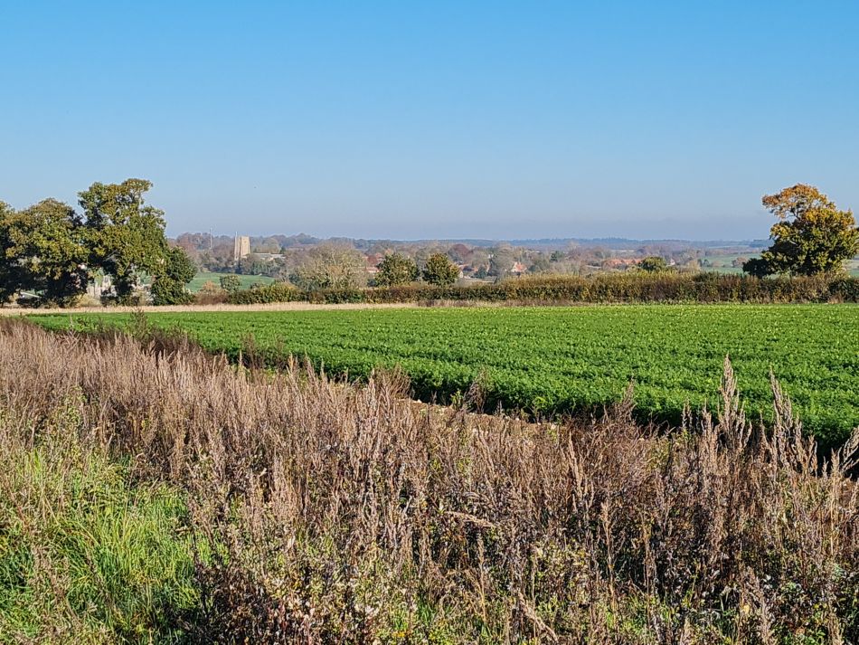 2022-11-14 19 Castle Acre.jpg