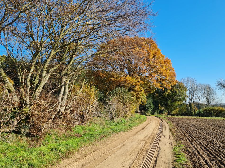 2022-11-14 20 Castle Acre.jpg