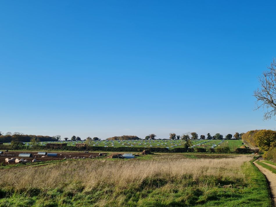 2022-11-14 21 Castle Acre.jpg