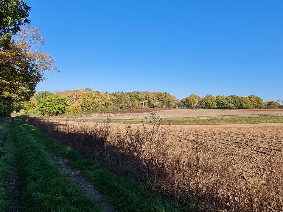 2022-11-14 24 Castle Acre.jpg