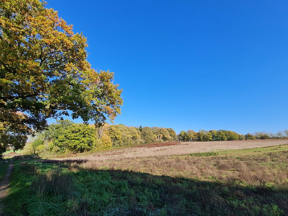 2022-11-14 25 Castle Acre.jpg