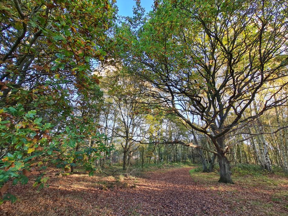 2022-11-14 27 Castle Acre.jpg