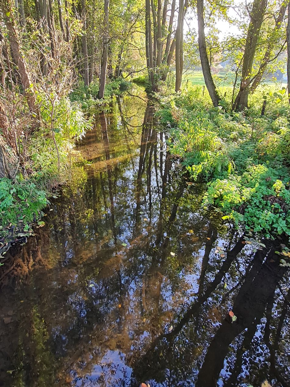2022-11-14 29 Castle Acre.jpg