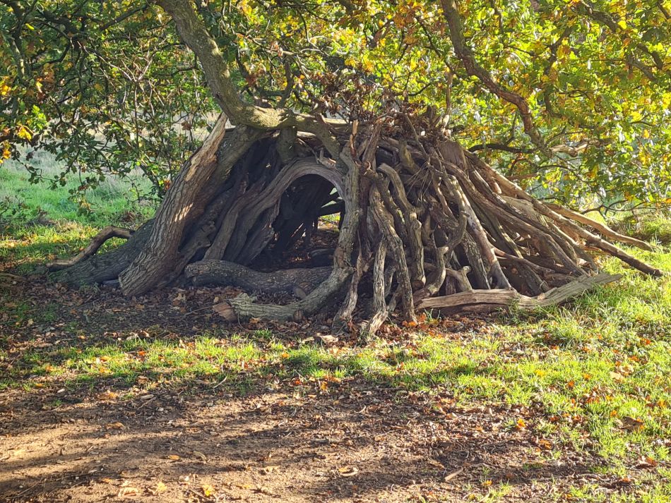 2022-11-14 31 Castle Acre.jpg