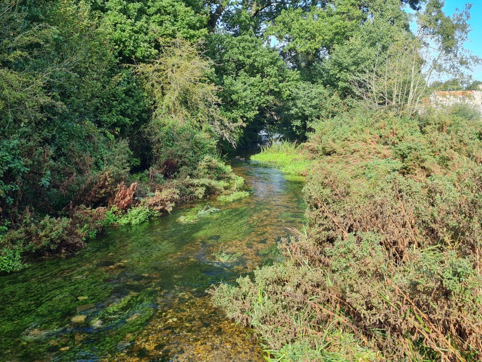 2023-09-21 07 Castle Acre and Priory.jpg