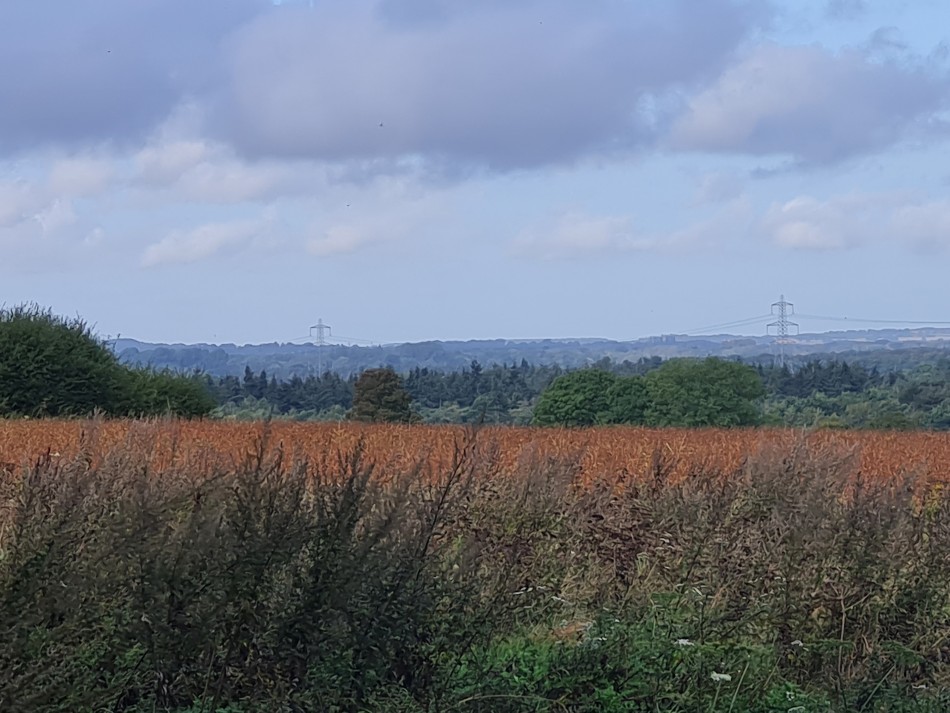 2023-09-21 13 Castle Acre and Priory.jpg