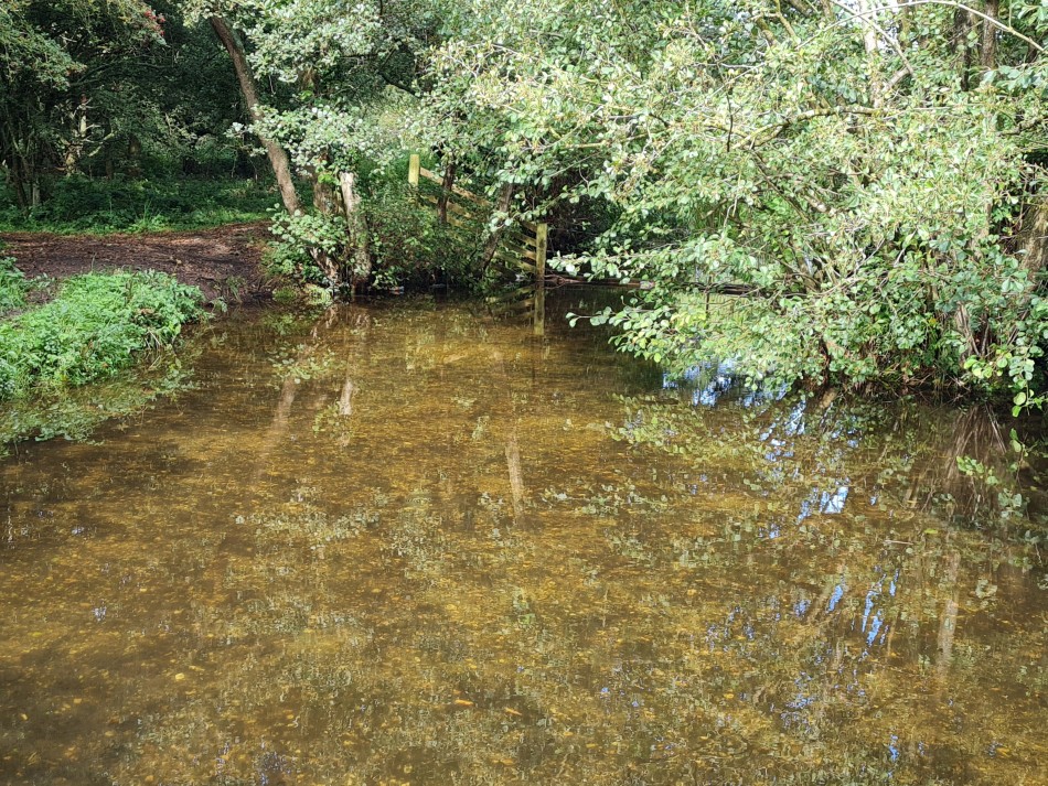 2023-09-21 15 Castle Acre and Priory.jpg