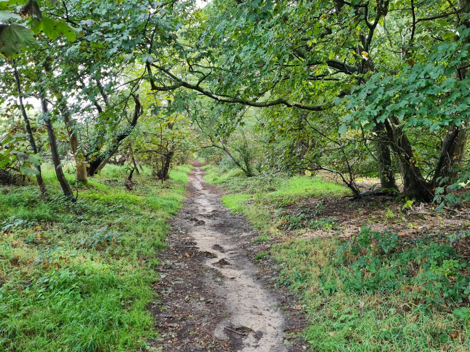 2023-09-21 20 Castle Acre and Priory.jpg