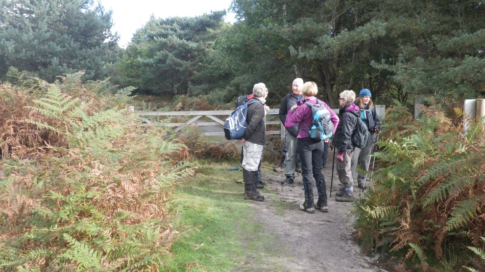 2016-10-23 02 Dunwich Heath Eels Foot.jpg