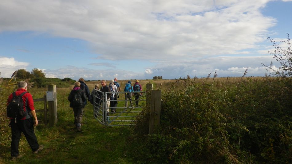 2016-10-23 08 Dunwich Heath Eels Foot.jpg