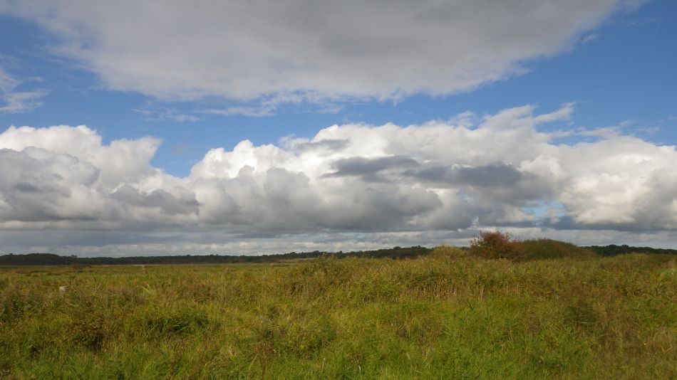 2016-10-23 09 Dunwich Heath Eels Foot.jpg