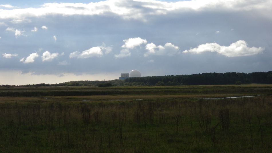 2016-10-23 13 Dunwich Heath Eels Foot.jpg
