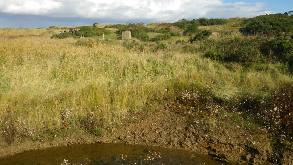 2016-10-23 20 Dunwich Heath Eels Foot.jpg