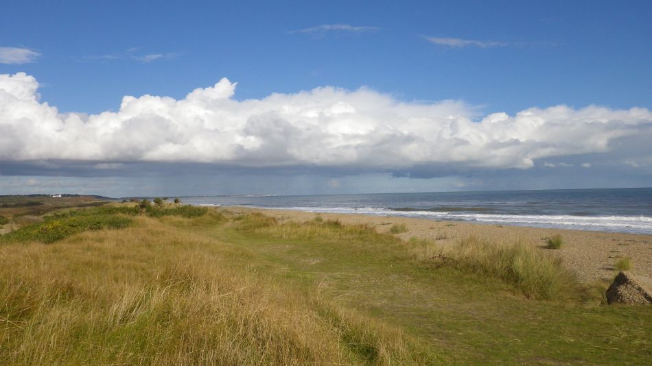 2016-10-23 22 Dunwich Heath Eels Foot.jpg