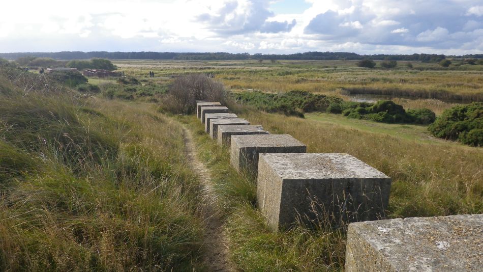 2016-10-23 25 Dunwich Heath Eels Foot.jpg