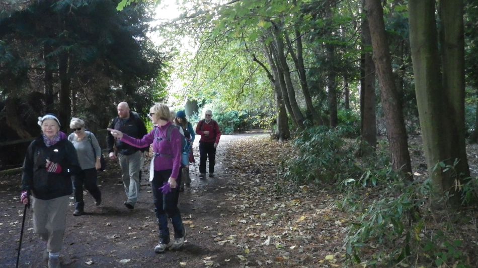 2016-10-23 27 Dunwich Heath Eels Foot.jpg