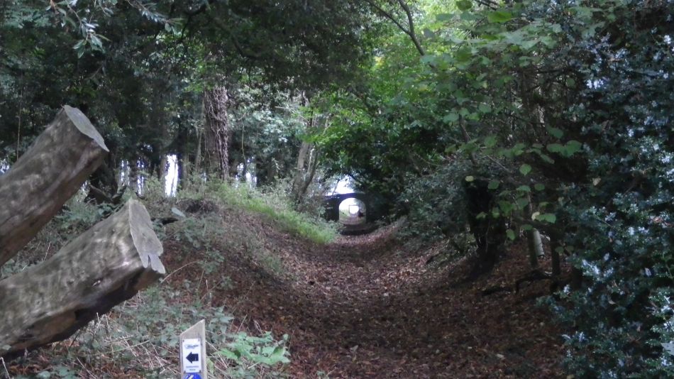 2016-10-23 31 Dunwich Heath Eels Foot.jpg