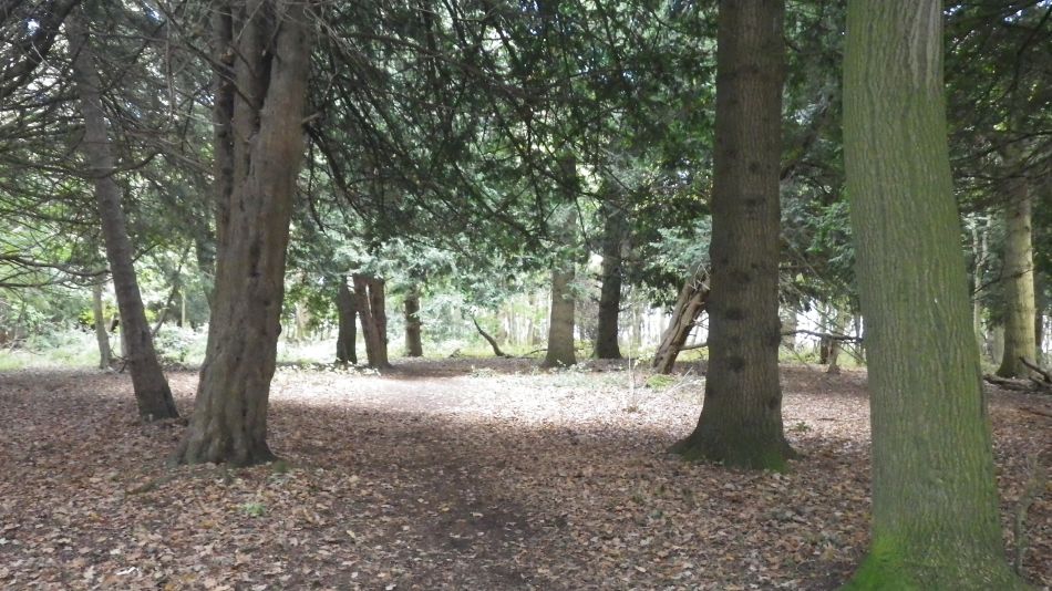 2016-10-23 32 Dunwich Heath Eels Foot.jpg