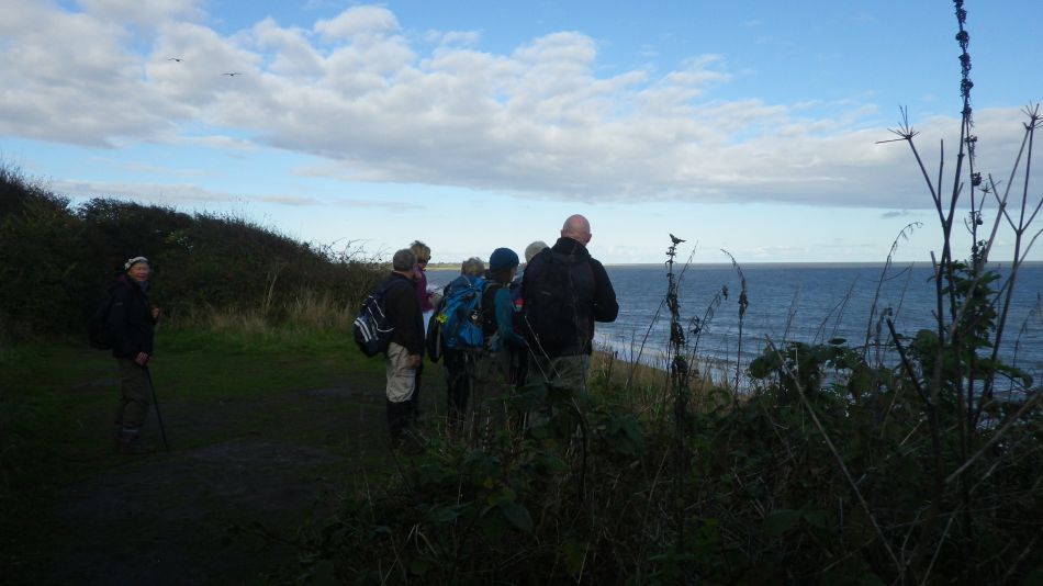 2016-10-23 36 Dunwich Heath Eels Foot.jpg