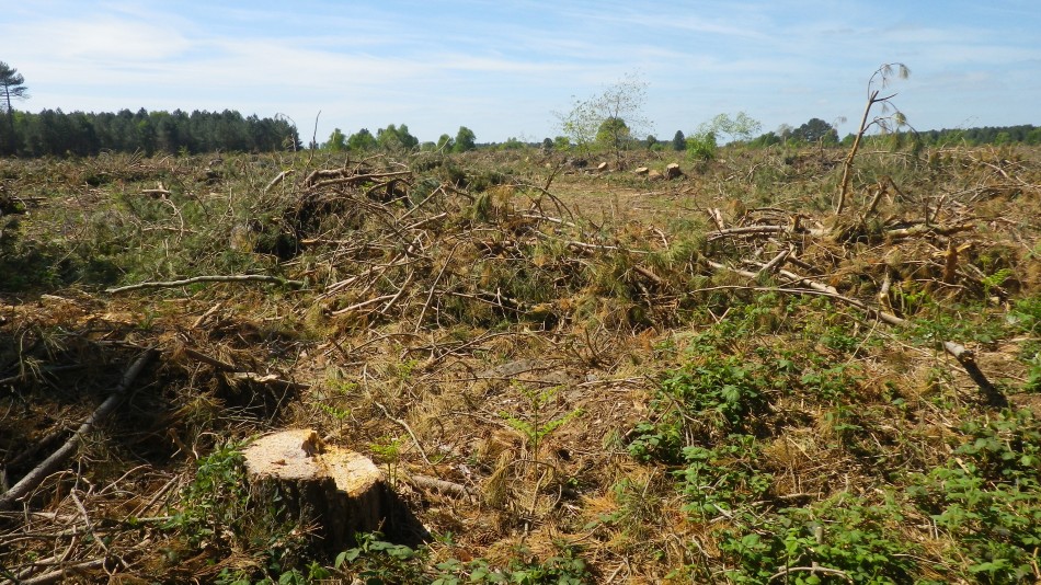 2017-05-10 05 Westleton and Black Slough Area.jpg