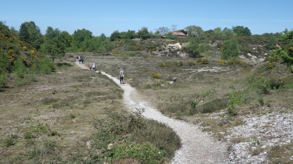 2017-05-10 14 Westleton and Black Slough Area.jpg