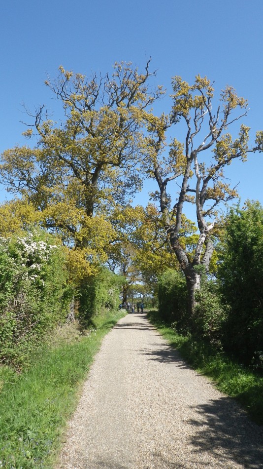 2017-05-10 18 Westleton and Black Slough Area.jpg