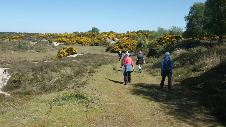 2017-05-10 21 Westleton and Black Slough Area.jpg