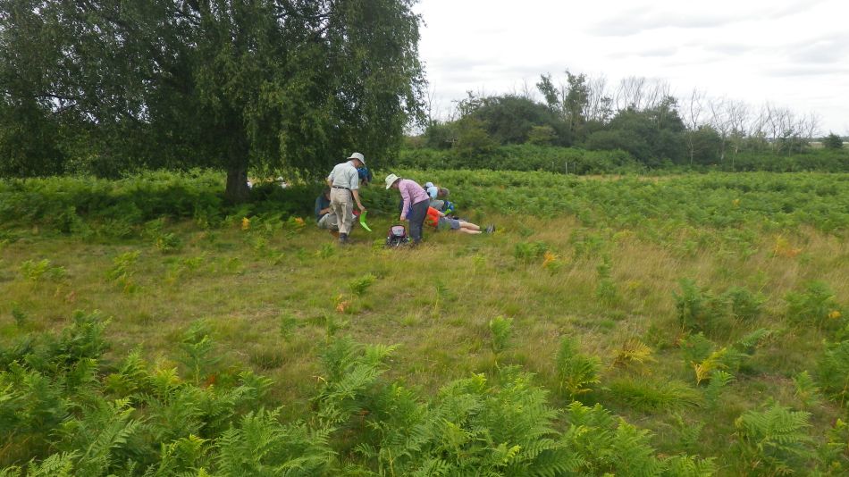 2017-07-29 02 Bury St Edmunds Group visits Dunwich Beach.jpg
