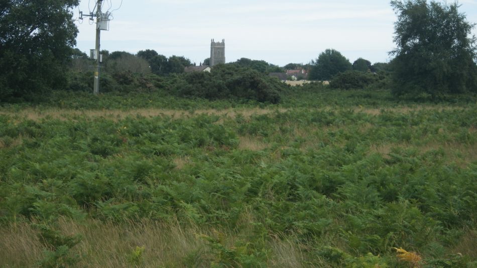 2017-07-29 03 Bury St Edmunds Group visits Dunwich Beach.jpg