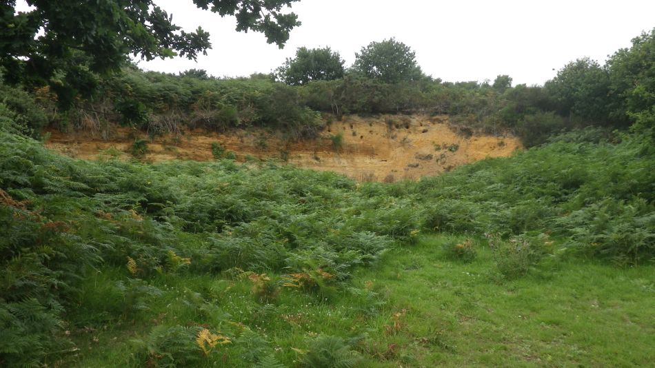 2017-07-29 05 Bury St Edmunds Group visits Dunwich Beach.jpg