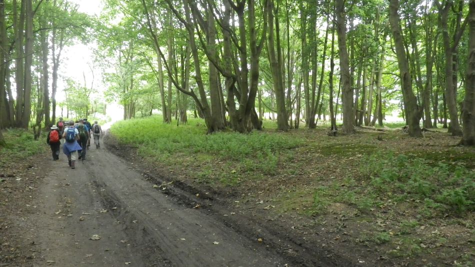 2017-07-29 06 Bury St Edmunds Group visits Dunwich Beach.jpg