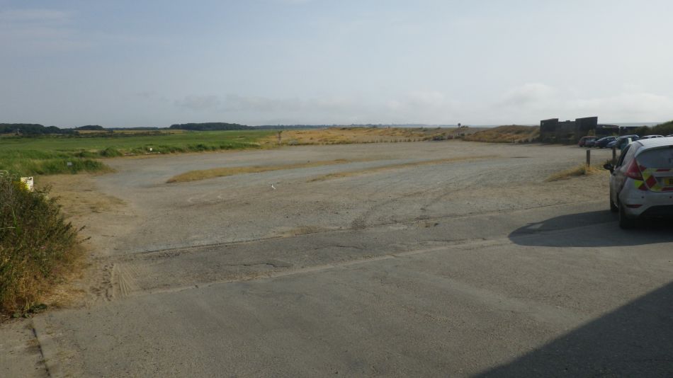 2018-07-19 03 Dunwich Early Riser.jpg