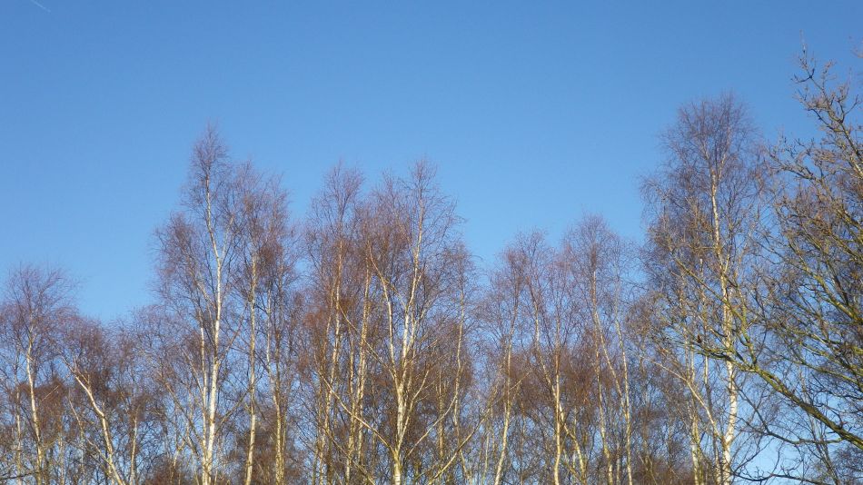 2018-12-16 06 Dunwich.jpg