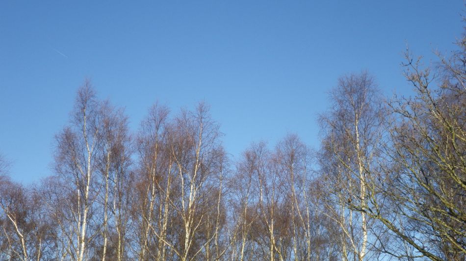 2018-12-16 07 Dunwich.jpg