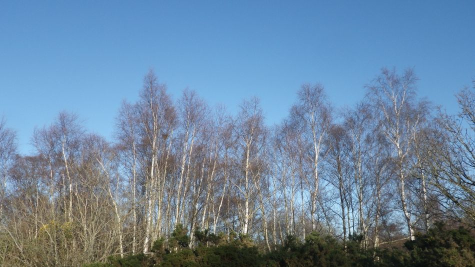 2018-12-16 08 Dunwich.jpg