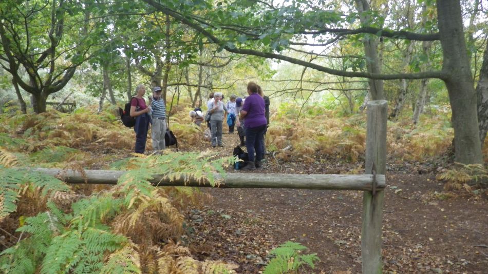 2020-09-23 02 Dunwich.jpg