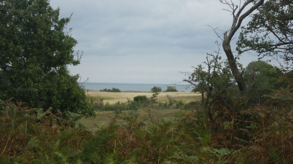 2020-09-23 05 Dunwich.jpg