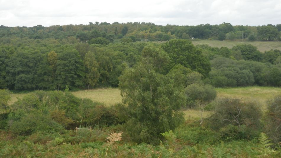 2020-09-23 06 Dunwich.jpg