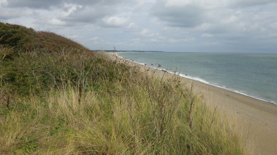 2020-09-23 09 Dunwich.jpg