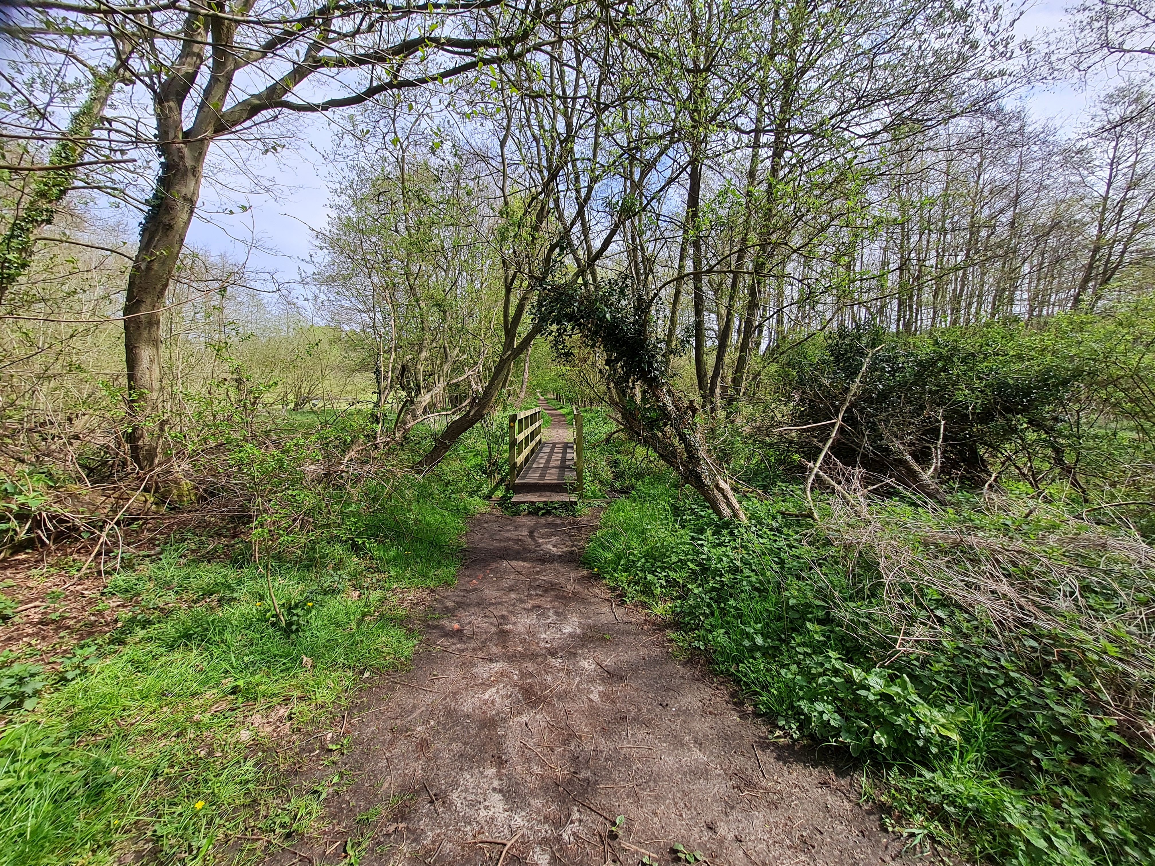 2021-05-13 04 Sandlings 11 - Dunwich.jpg